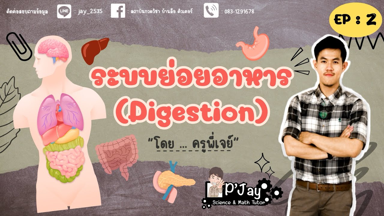 ระบบย่อยอาหารของสัตว์และมนุษย์ ~  ชีวะ ม.5 EP : 2 | Kru P'Jay