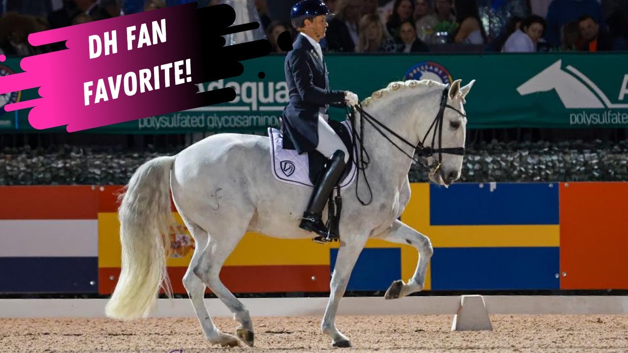 FAN FAVORITE: Lusitano Favorito 11 Ridden By Christoph Koschel In The Grand Prix Dressage Freestyle
