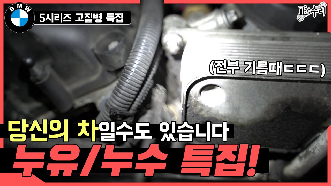 수입차 누유가 심각한 이유..? 수리비만 몇백 우습죠 (BMW 5series Fluid Leak)