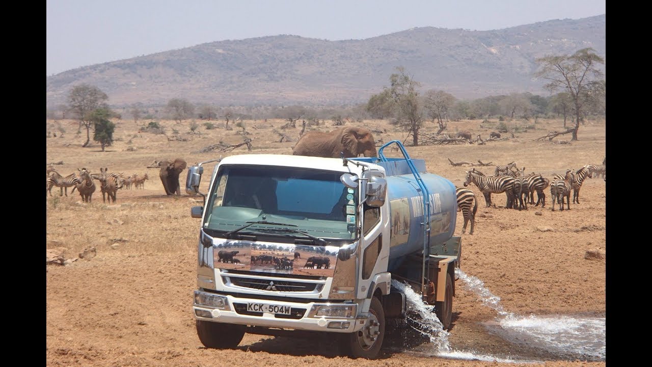 Подкаст HumaNature: Хранитель слонов