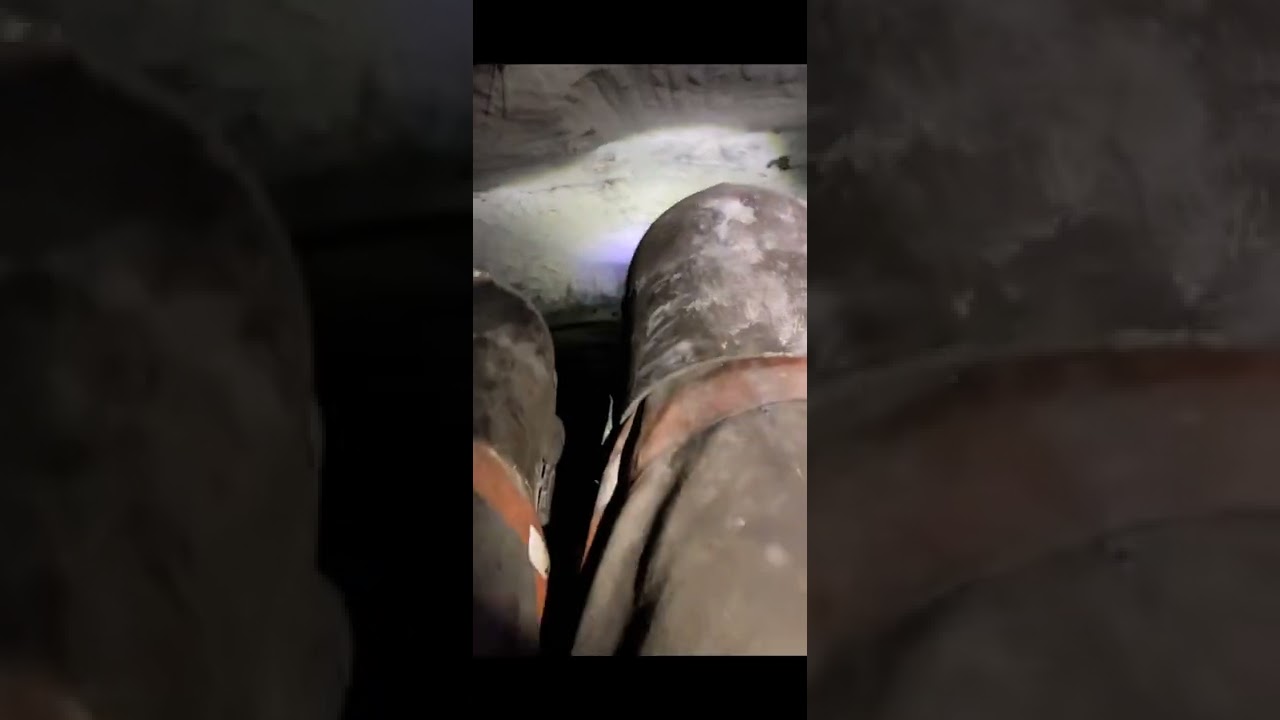 West Virginia Low Coal 28in - 38in
