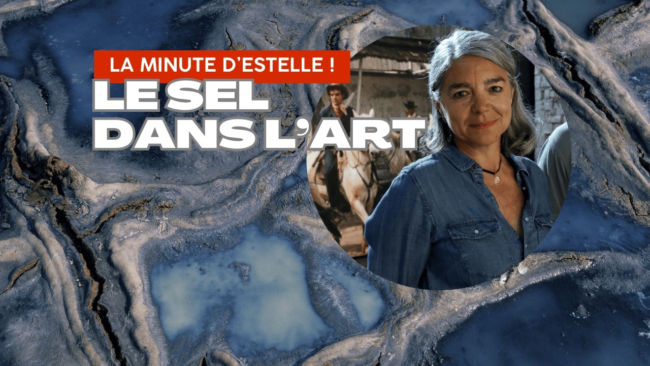 LA MINUTE D'ESTELLE ! Le sel dans l'art contemporain