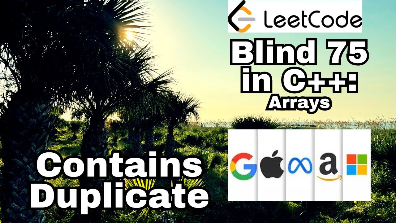Leetcode Blind 75: C++ содержит дубликаты с пояснениями