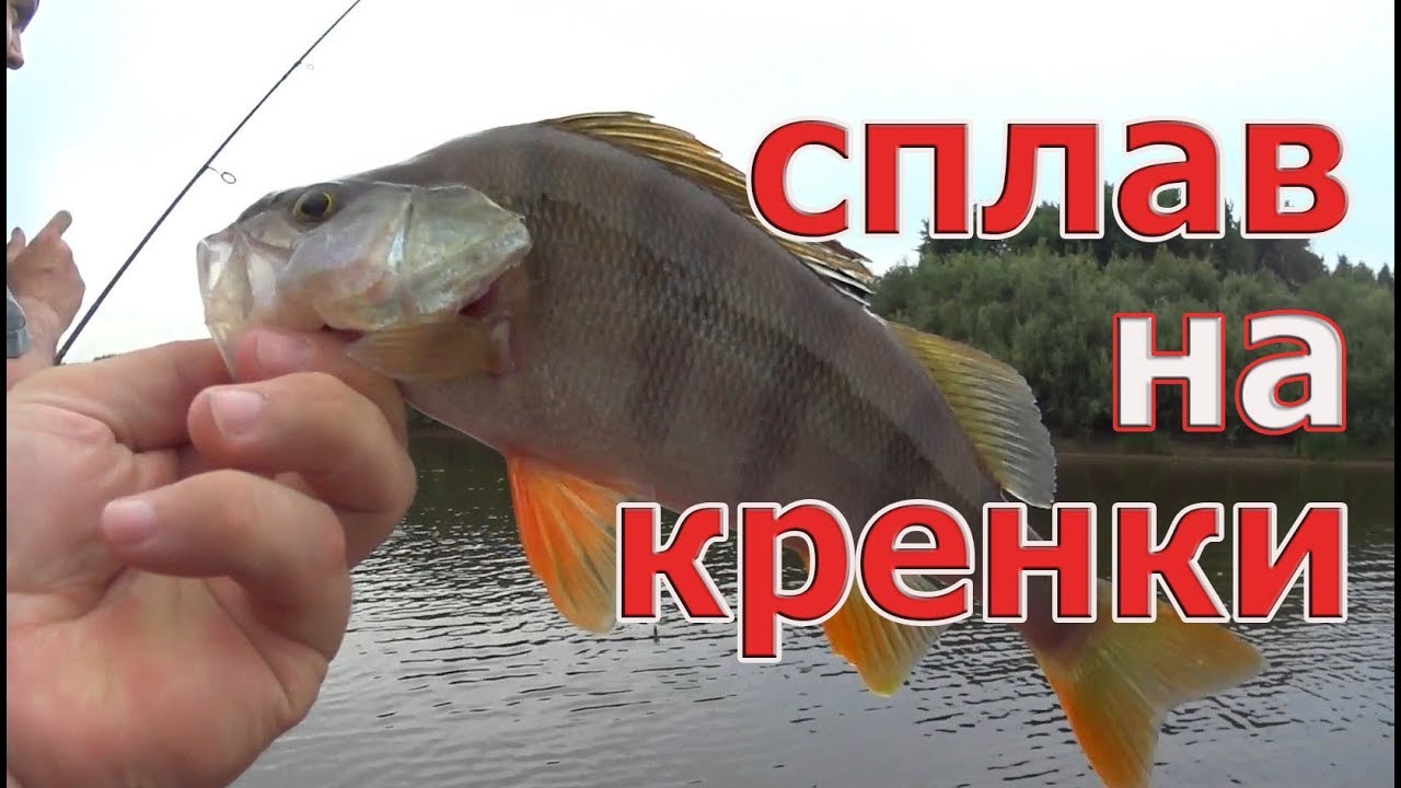 ОКУНИ-КАБАНЫ любят КРЕНКИ! Плыви, кидай, ТАЩИ! OSP Tiny Blitz SR в деле
