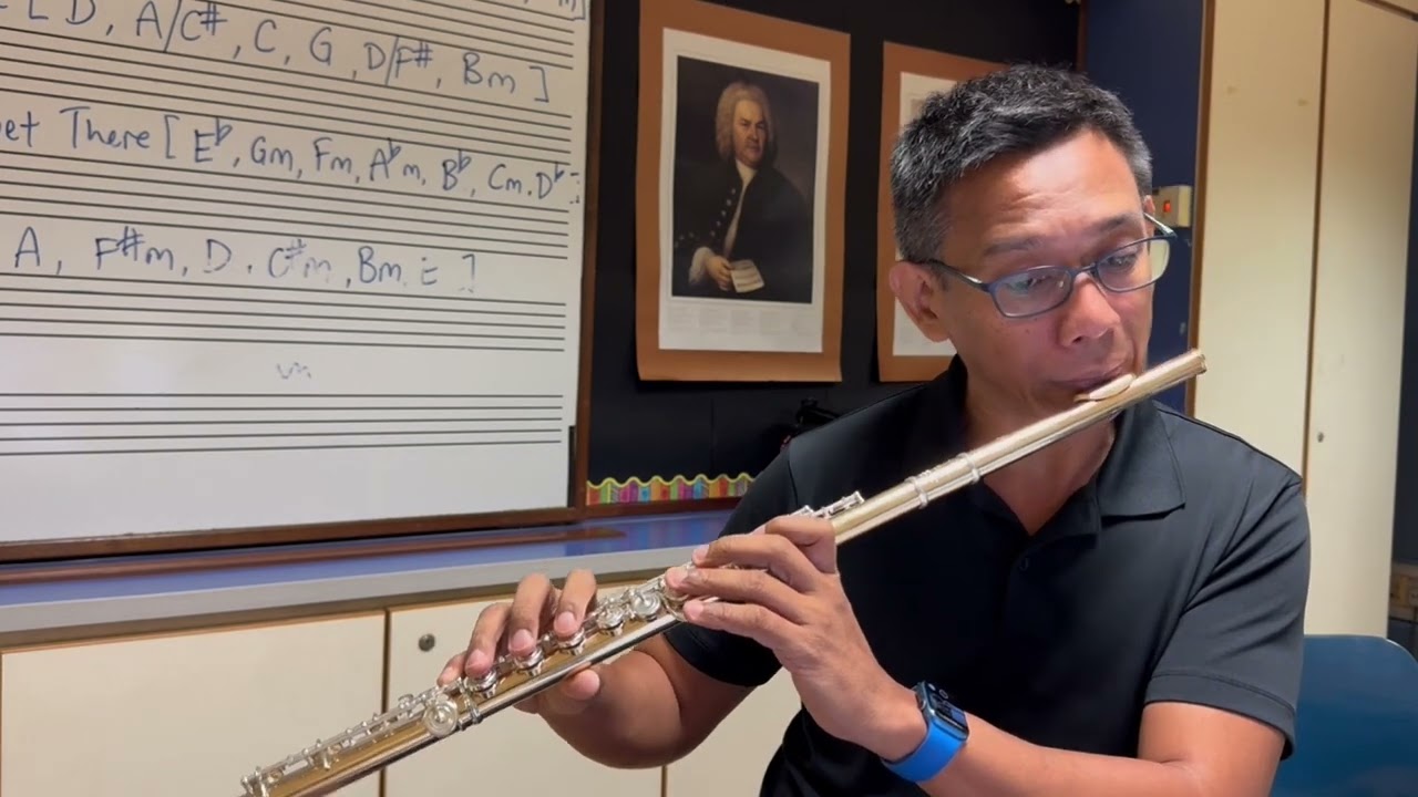 Dolphin Shoals (Mario Kart 8) Flute Cover