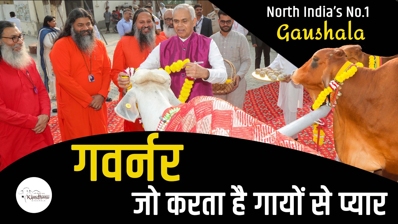 दो राज्यों के गवर्नर का गायों को नमन