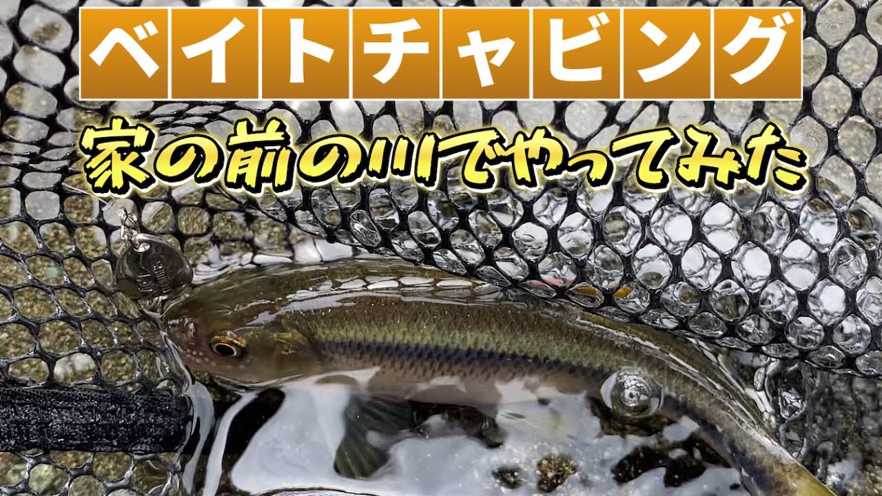 いちばん小さいルアー釣り？家の前の川でチャビングしたら楽しすぎた