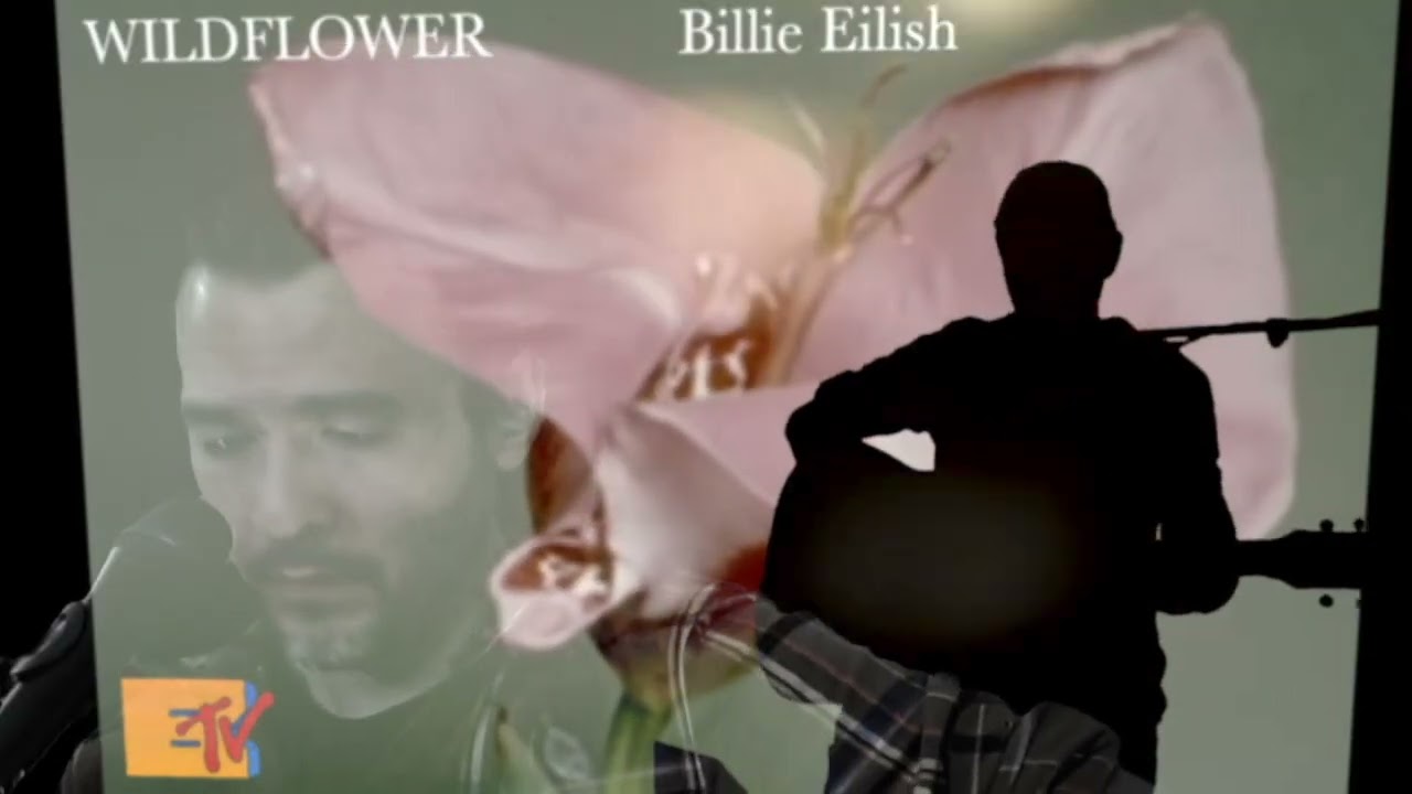 WILDFLOWER by Billie Eilish - live cover