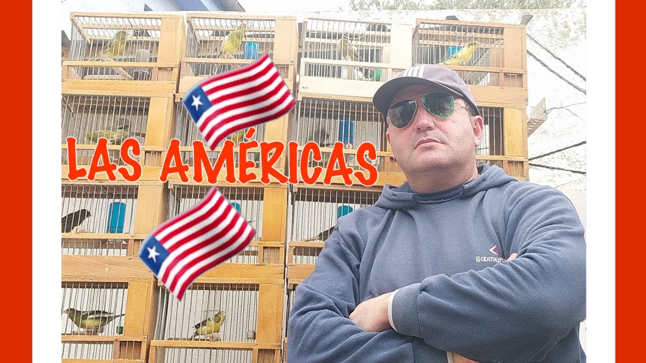 🐦LÍNEA🐦🇪🇸ÚNICA🐦🇪🇸Y UNA CHARLA CON CELEDONIO🐦🇪🇸✈️