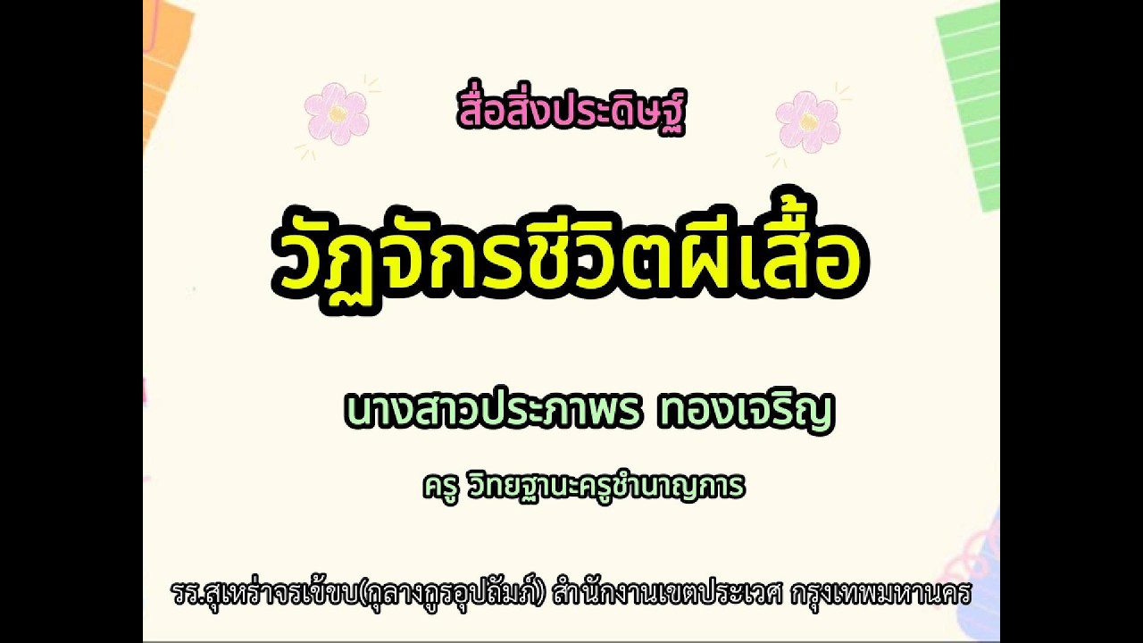 วัฏจักรชีวิตผีเสื้อ