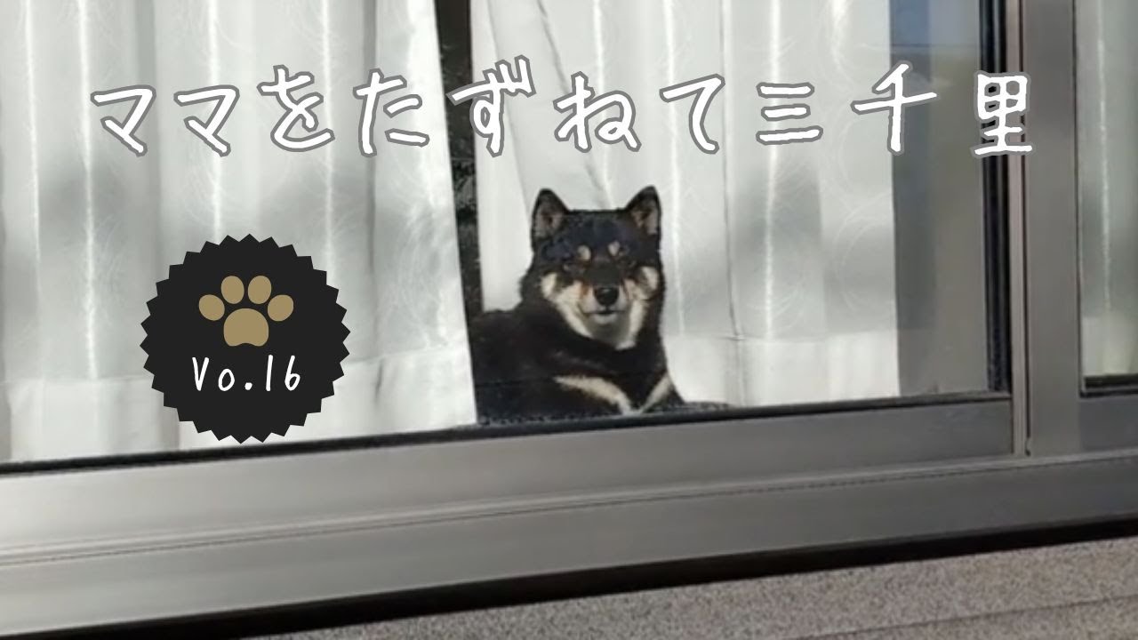 ママをたずねて三千里