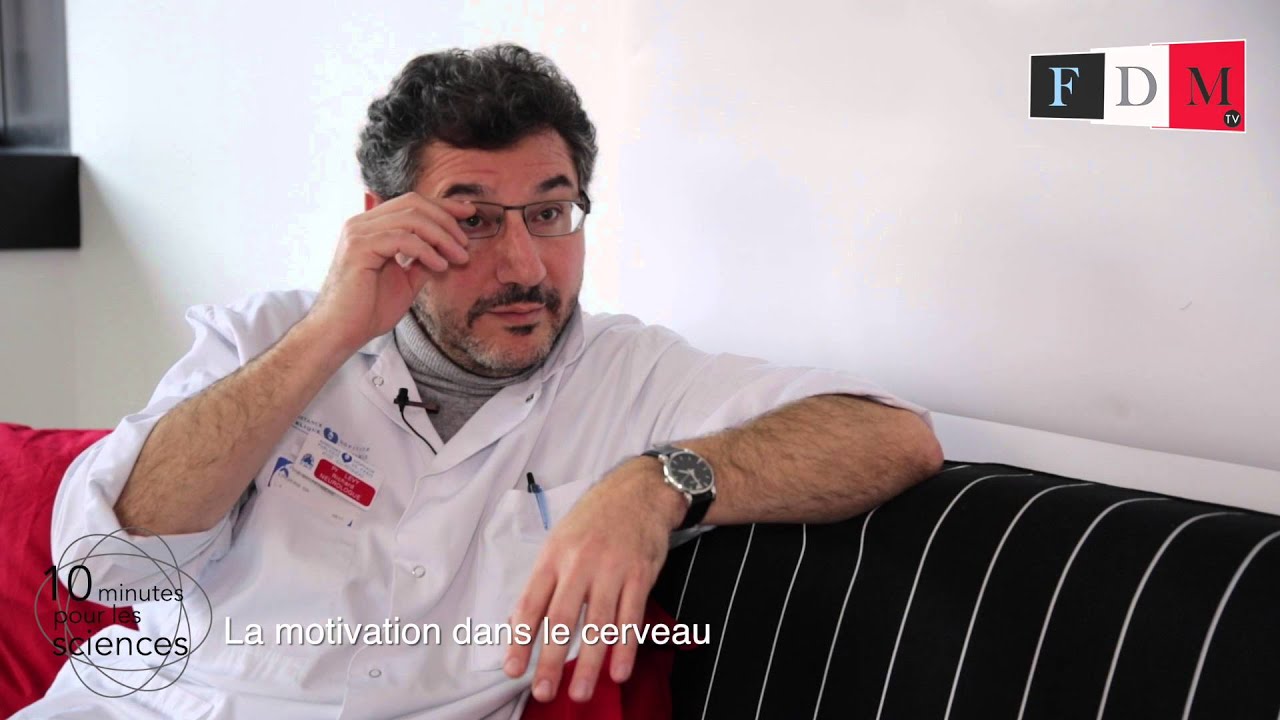 La motivation dans le cerveau - 10 minutes pour les sciences #2