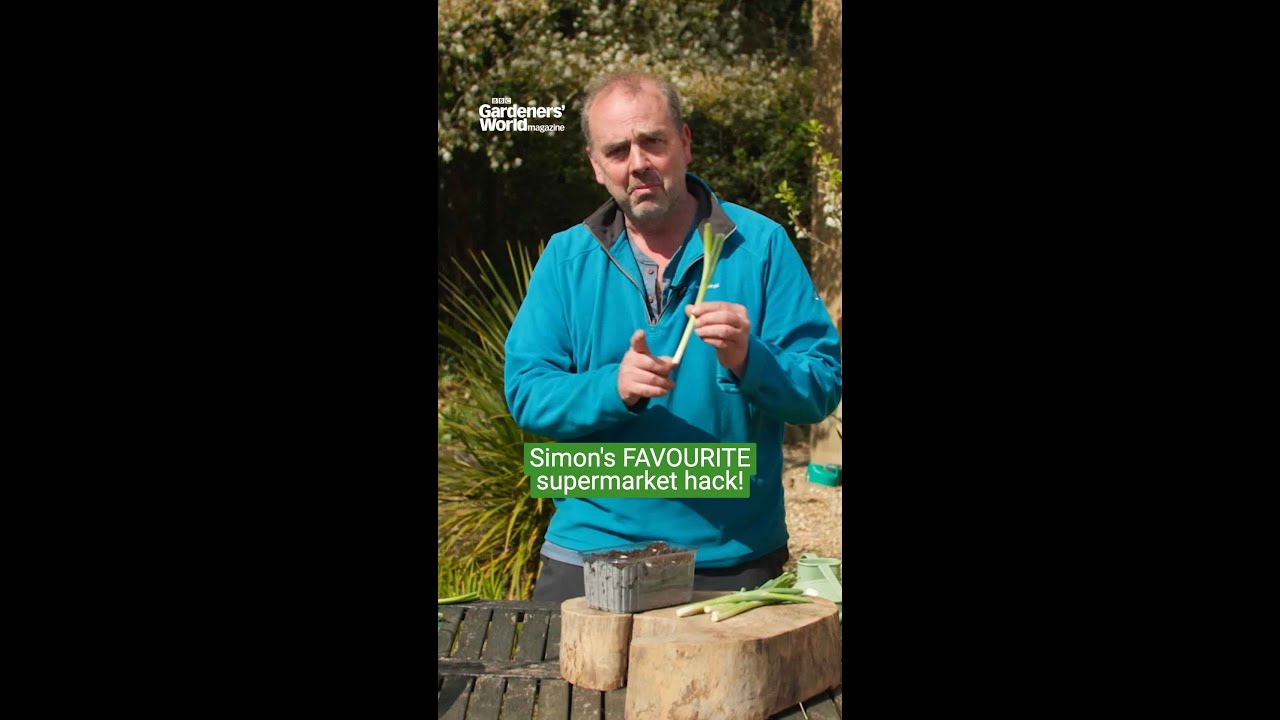 How to SAVE on spring onions