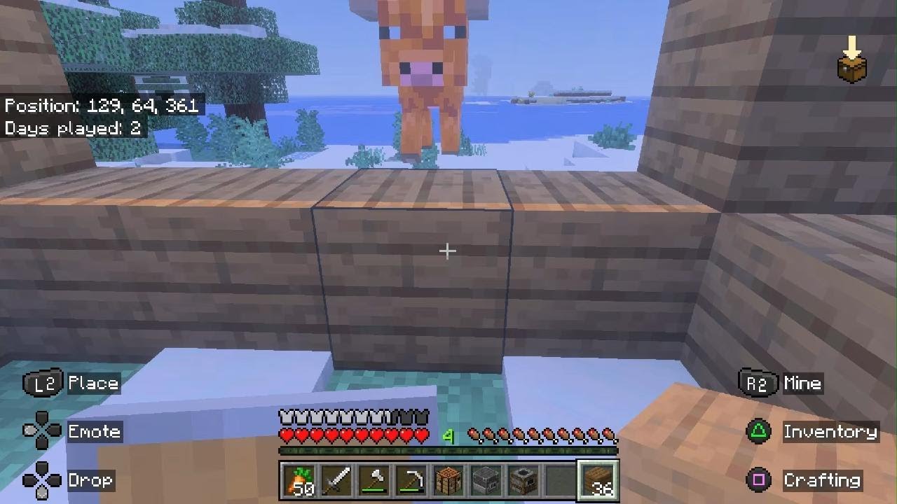 Minecraft_20260115022052