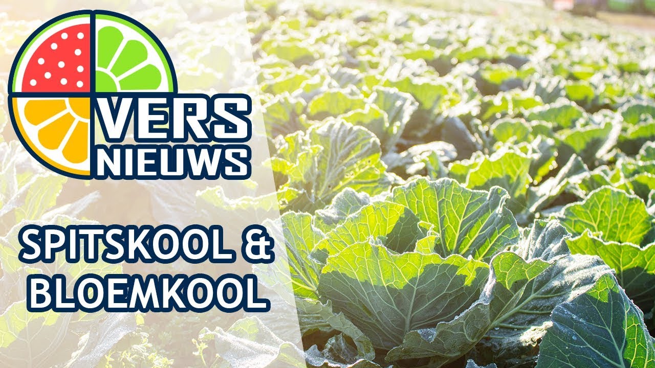 Versnieuws - Spitskool & bloemkool