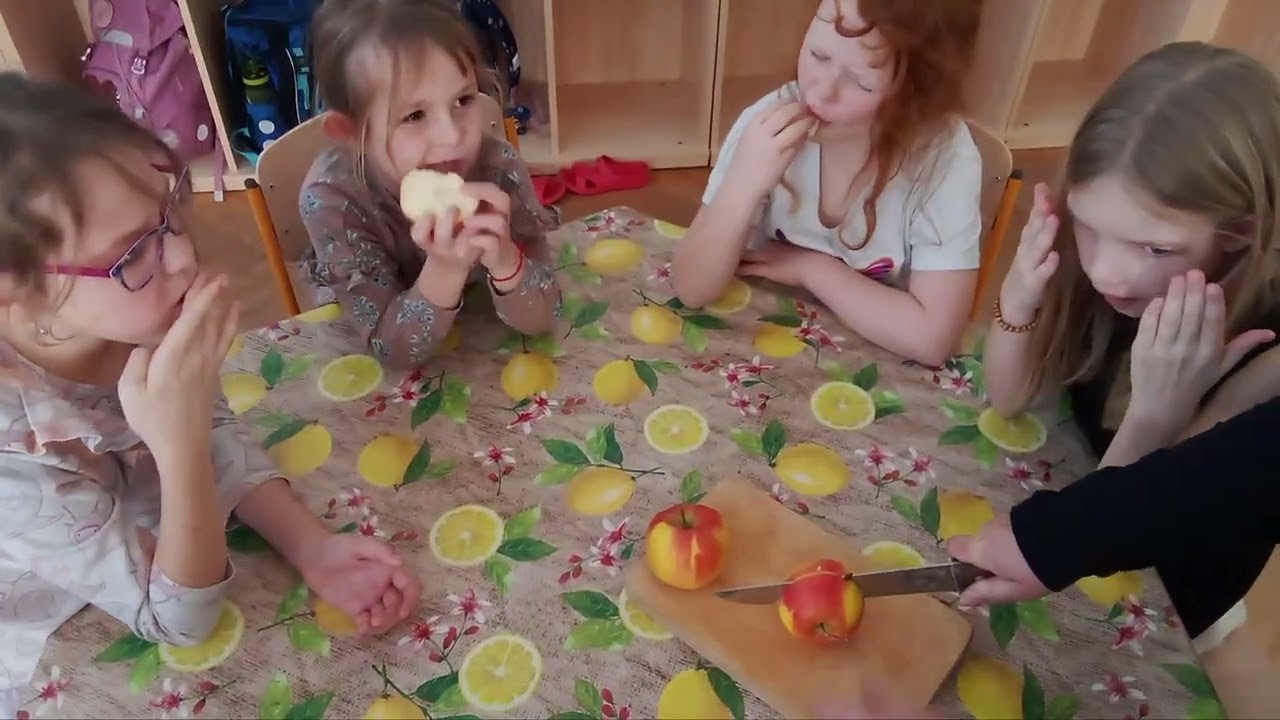 Družina LEDEN