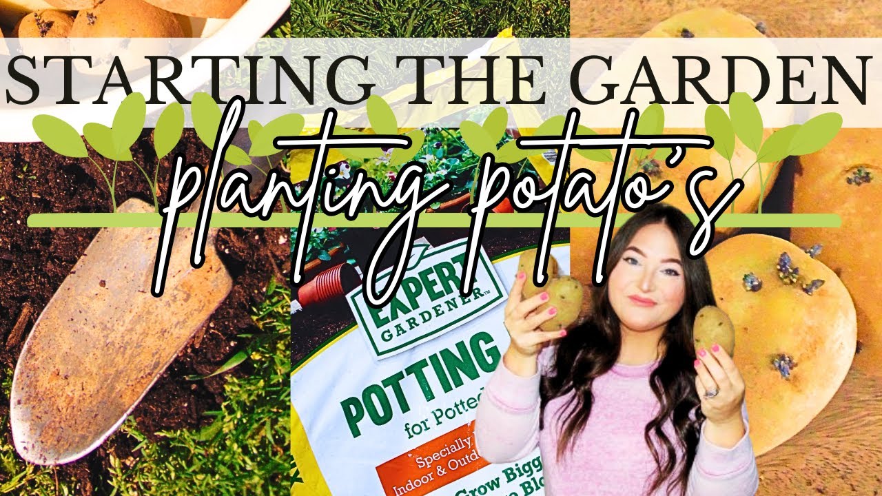 SPEND THE DAY WITH ME | STARTING THE GARDEN | PLANTING POTATO'S