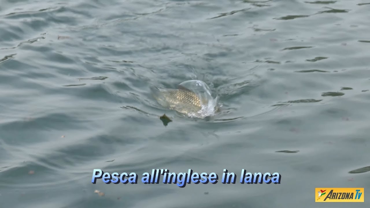 MONDO PESCA - PESCA ALL' INGLESE IN LANCA - VERSIONE TECNICA - #pescasportiva  #englishfishing