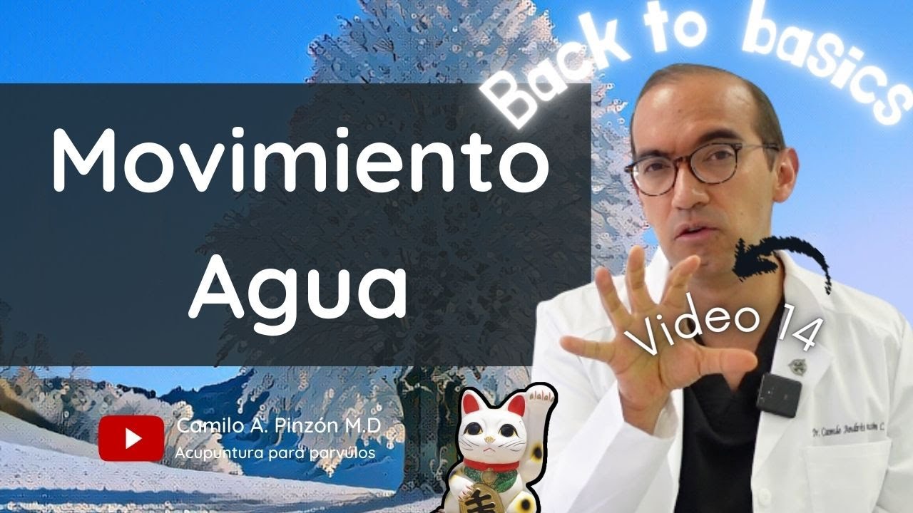 REGRESANDO A LO BÁSICO (Video 14) : MOVIMIENTO AGUA EN LA MEDICINA CHINA | Acupuntura para párvulos