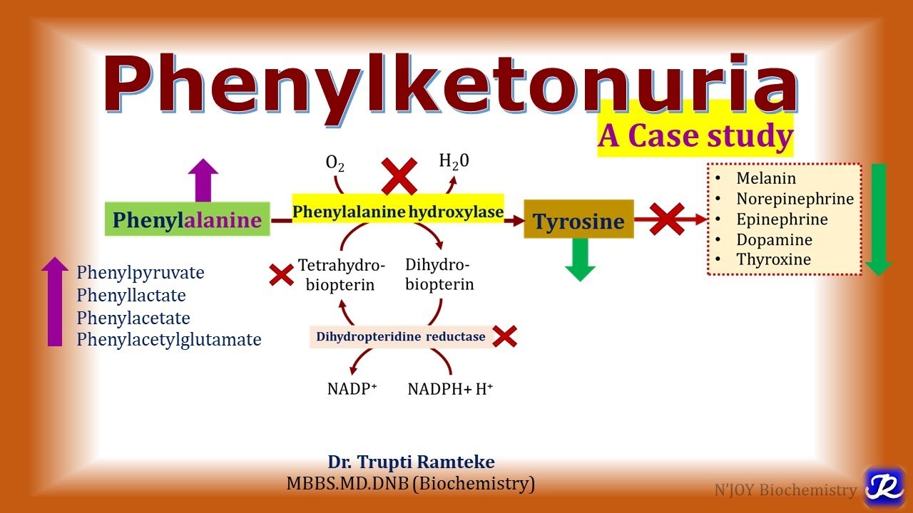8: Phenylketonuria | Amino acid Metabolism | Biochemistry | N'JOY Biochemistry