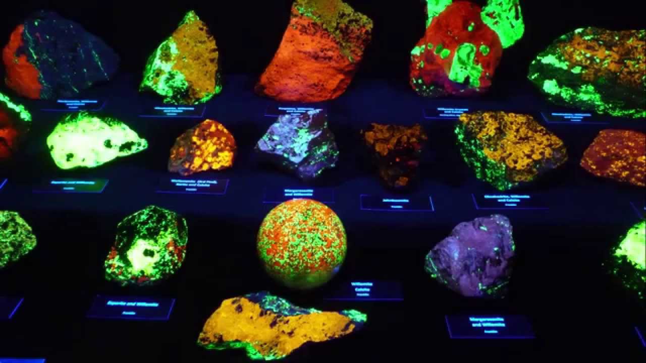 FLUORESCENT MINERALS DISPLAY - GLOW IN THE DARK ROCKS!