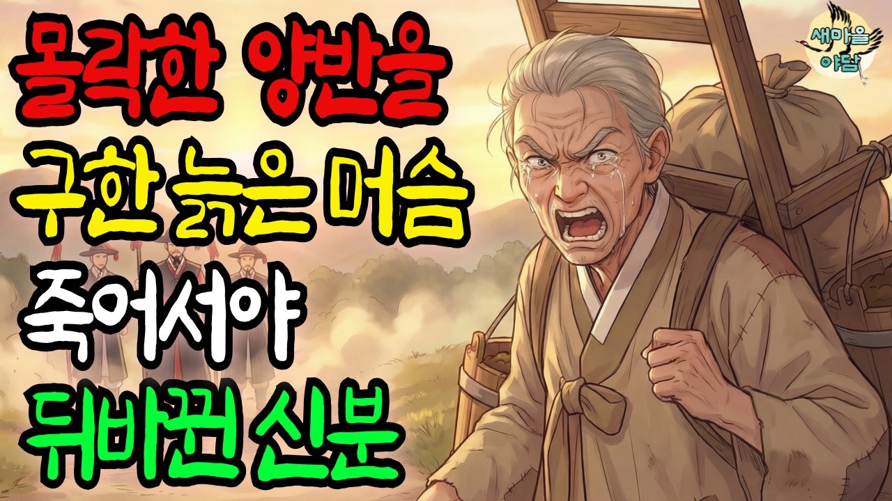 새마을야담 | 몰락한 양반가의 도련님을 대신해 죽은 늙은 머슴, 죽어서야 바뀐 신분 그리고 아들의 눈물 .. | 야담 | 만담 | 설화 | 노후지혜