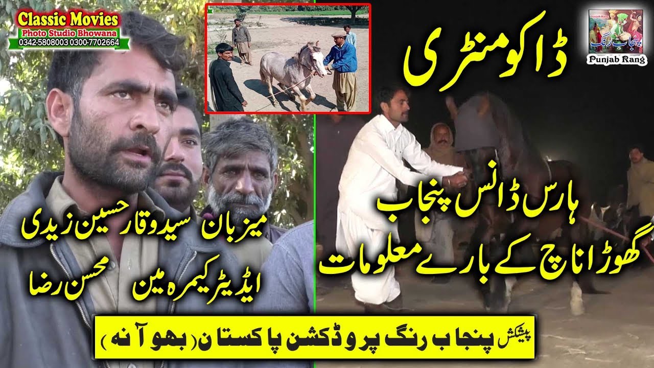 Cultural Documentary / Horse Dance Training Tutorial / 2019 by Punjab Rang