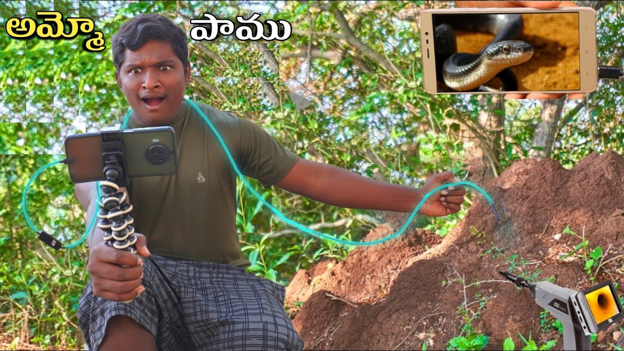 Entering Endoscopic 📸 Camera Into Snake🐍 House 🤯| shocking reaction
