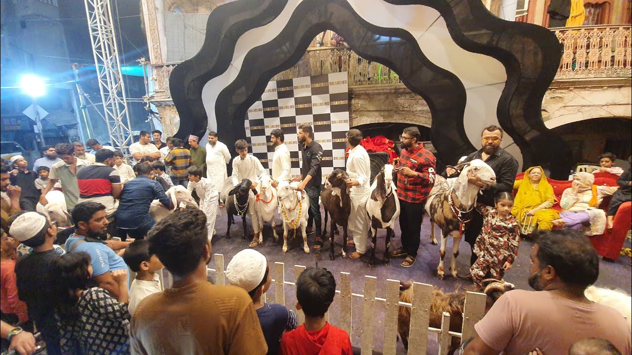 Surat Sagrampura  goat show #eid #Surat @azharbhai dhandhu ko eid goat