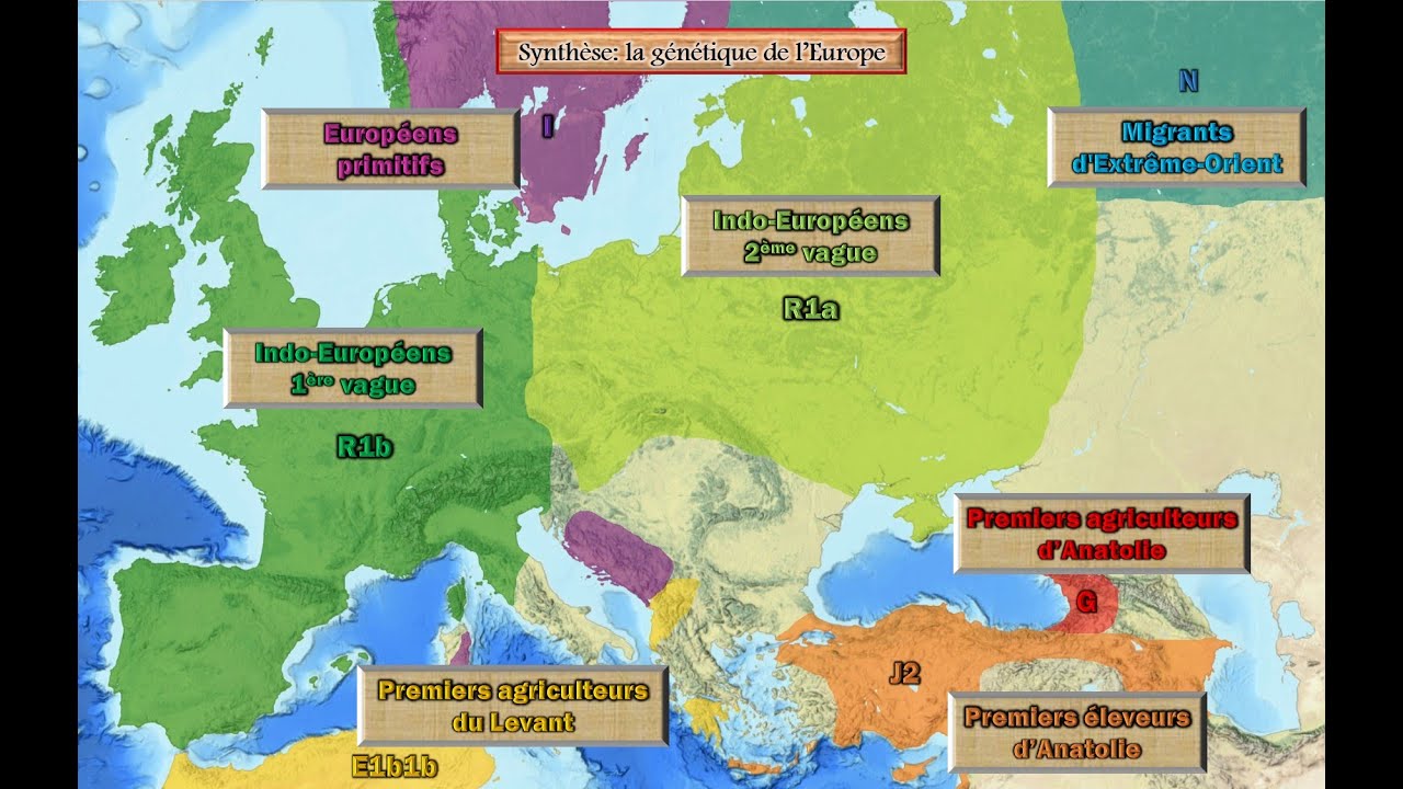 L'identité européenne: une histoire de gènes?