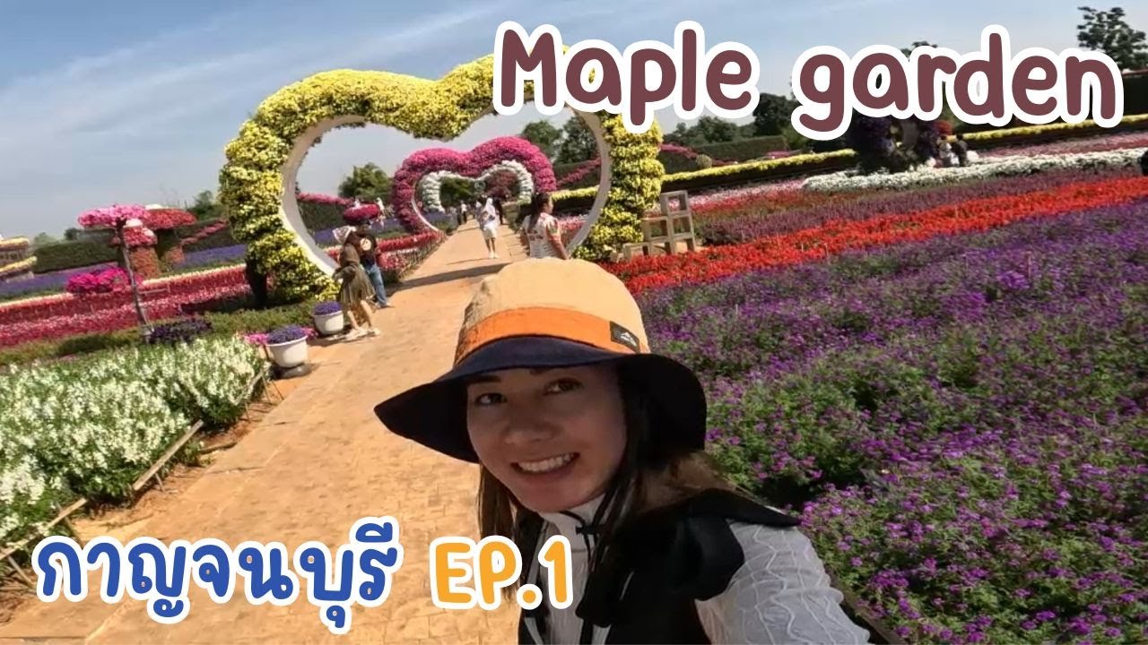กาญจนบุรี EP.1 พาชมสวน Maple garden กาญจนบุรี #กินบุฟเฟต์ลำไย #ไปดูแพะ