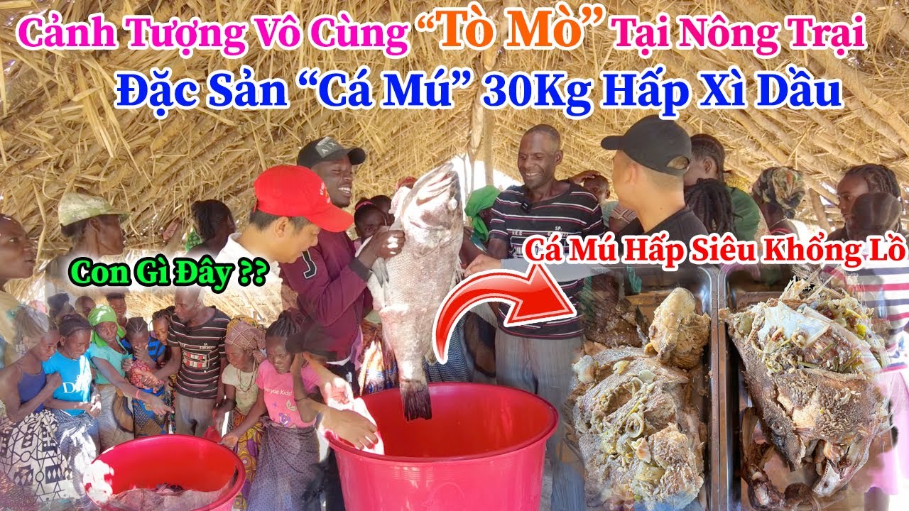 Công Giáp ||  Đặc Sản Cá Mú 30Kg Hấp Xì Dầu-Cảnh tượng Vô Cùng
