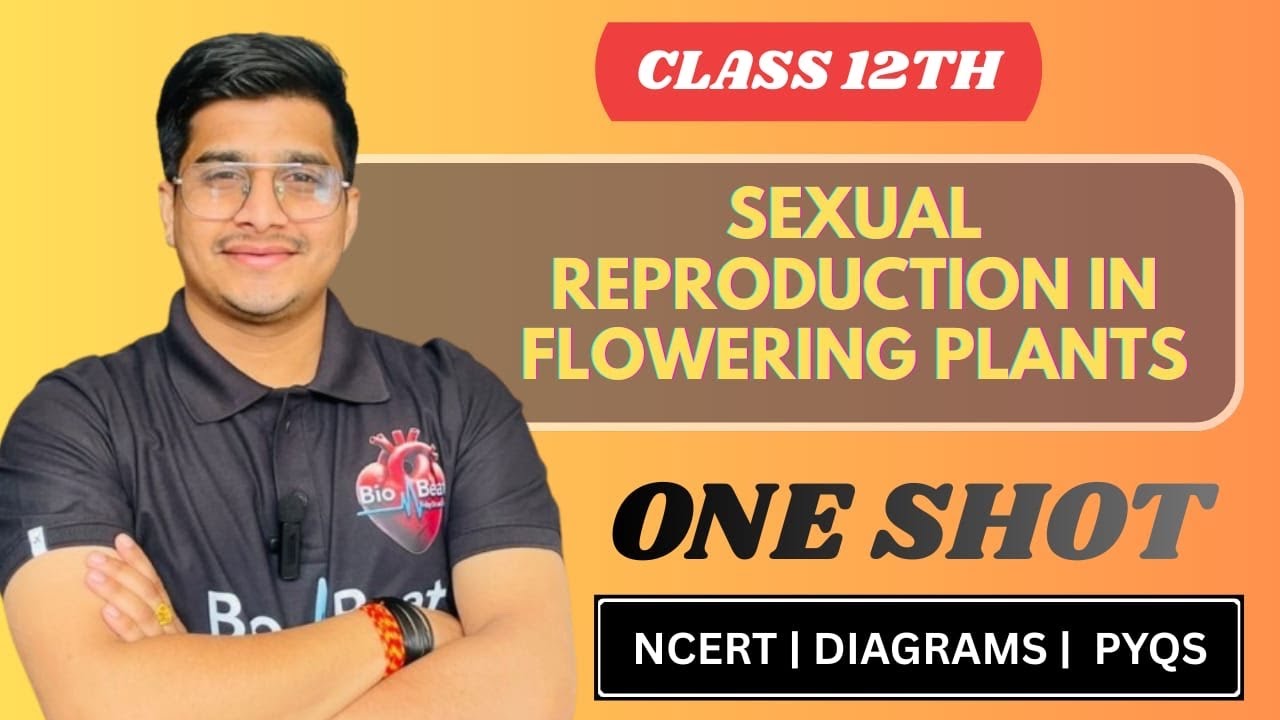 Sexual Reproduction In flowering plants class 12th 🔥!! The Flower , Androcium #viral #trending 