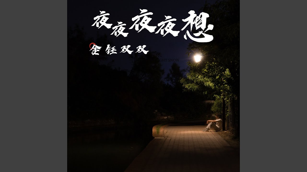 夜夜夜夜想（DJ默涵版）