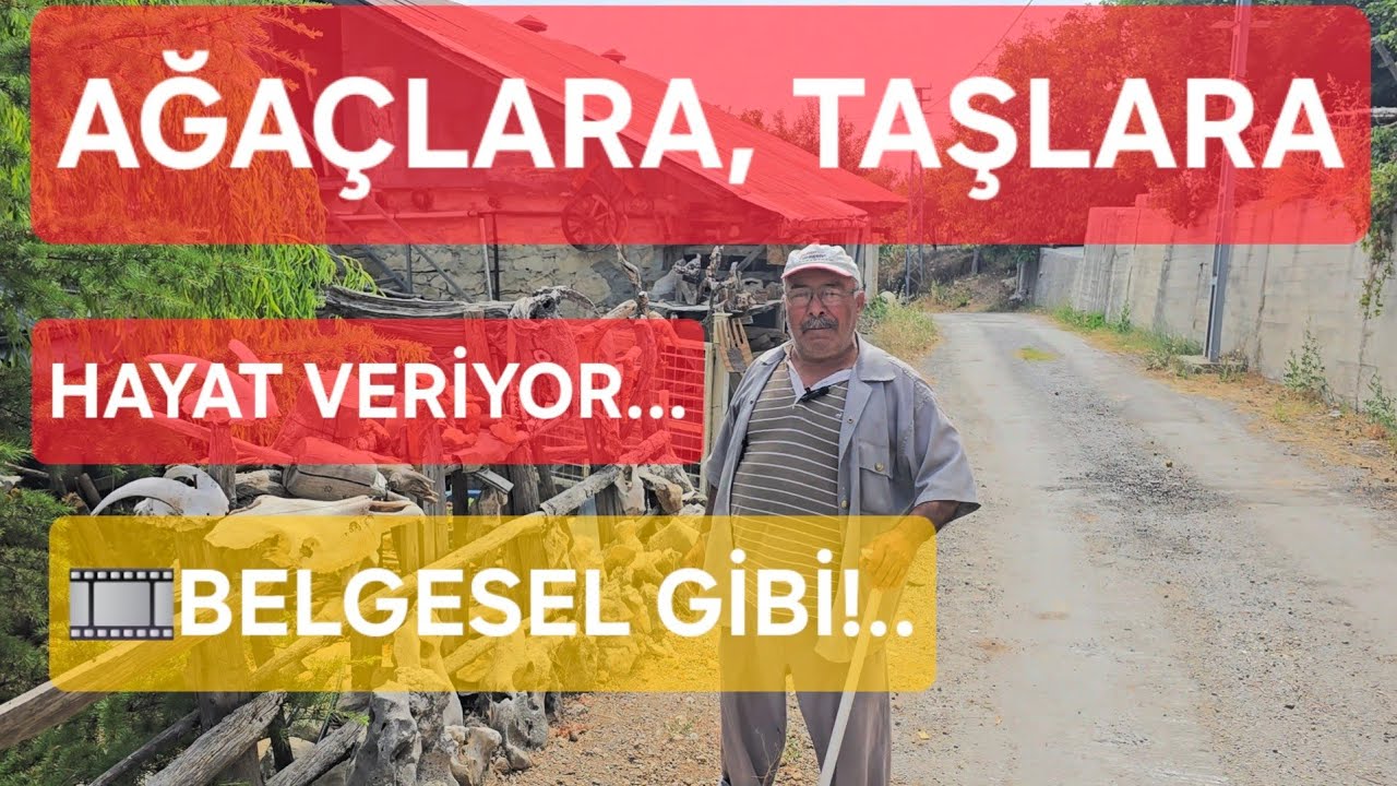 TOROSLARDAN BİR HOBİ HİKÂYESİ...