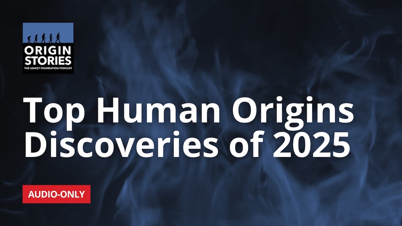 Top Human Origins Discoveries of 2025 | Origin Stories
