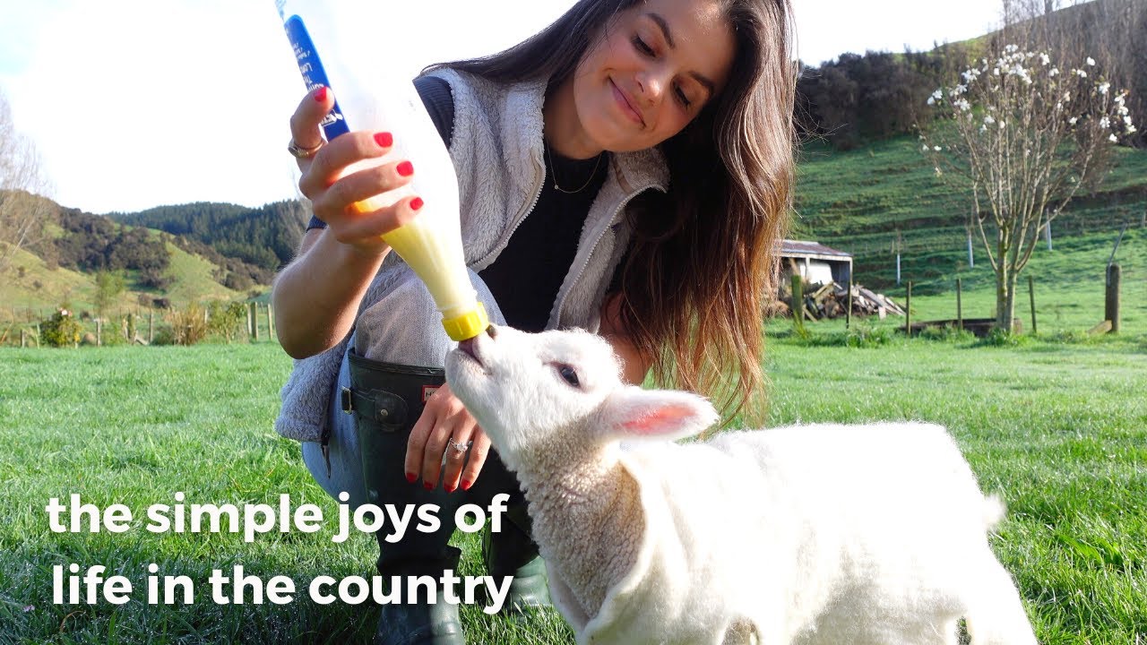 A Day On The Homestead | Vegetable Garden Seed Starting + New Pet Lamb