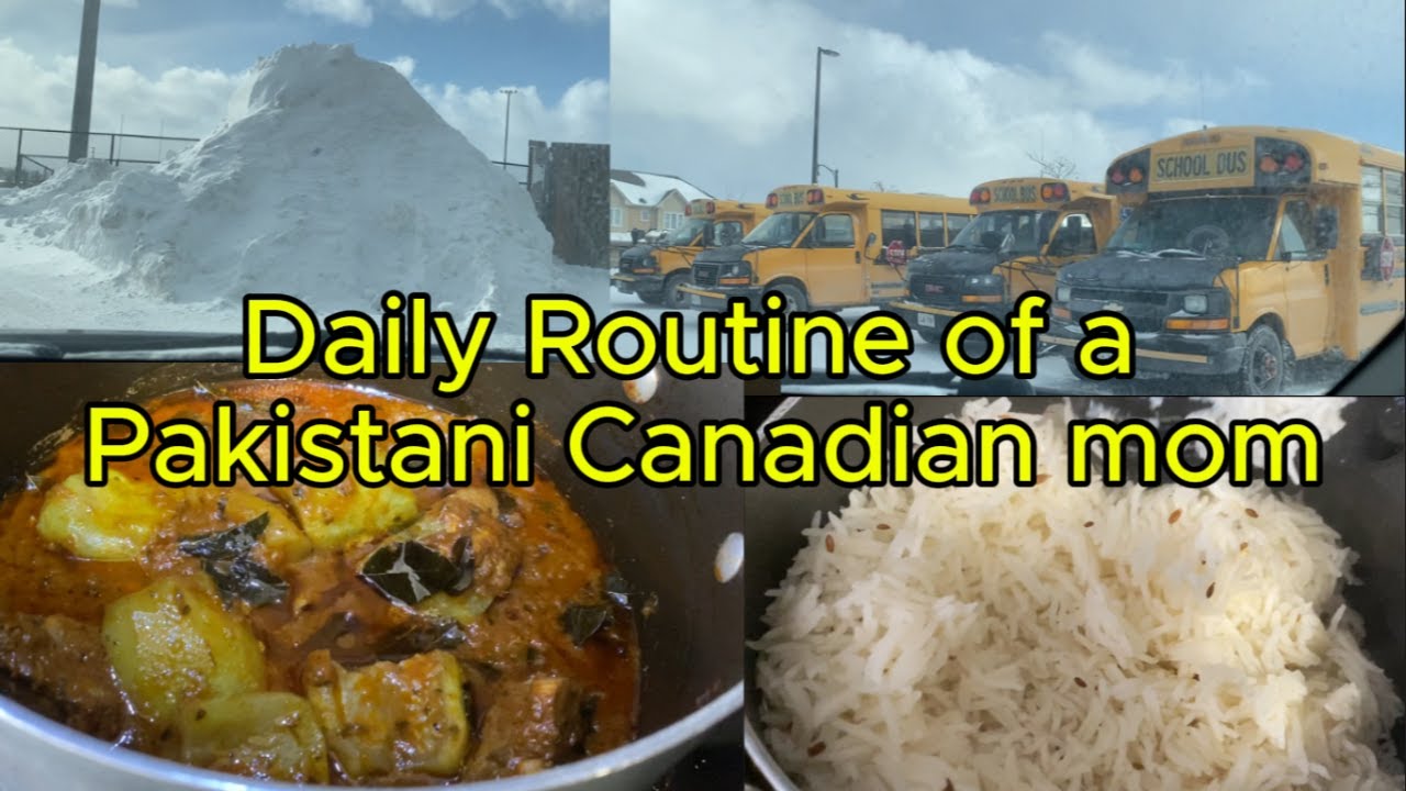 Daily Routine Life of a Pakistani Canadian mom / Cooking / Cleaning / Morning to Evening.