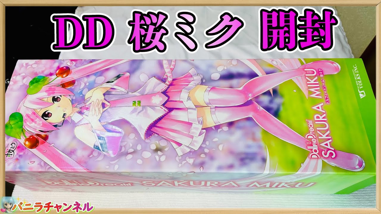 【1/3ドール】DD桜ミク開封【60cm級ドール】unboxing DD sakura miku