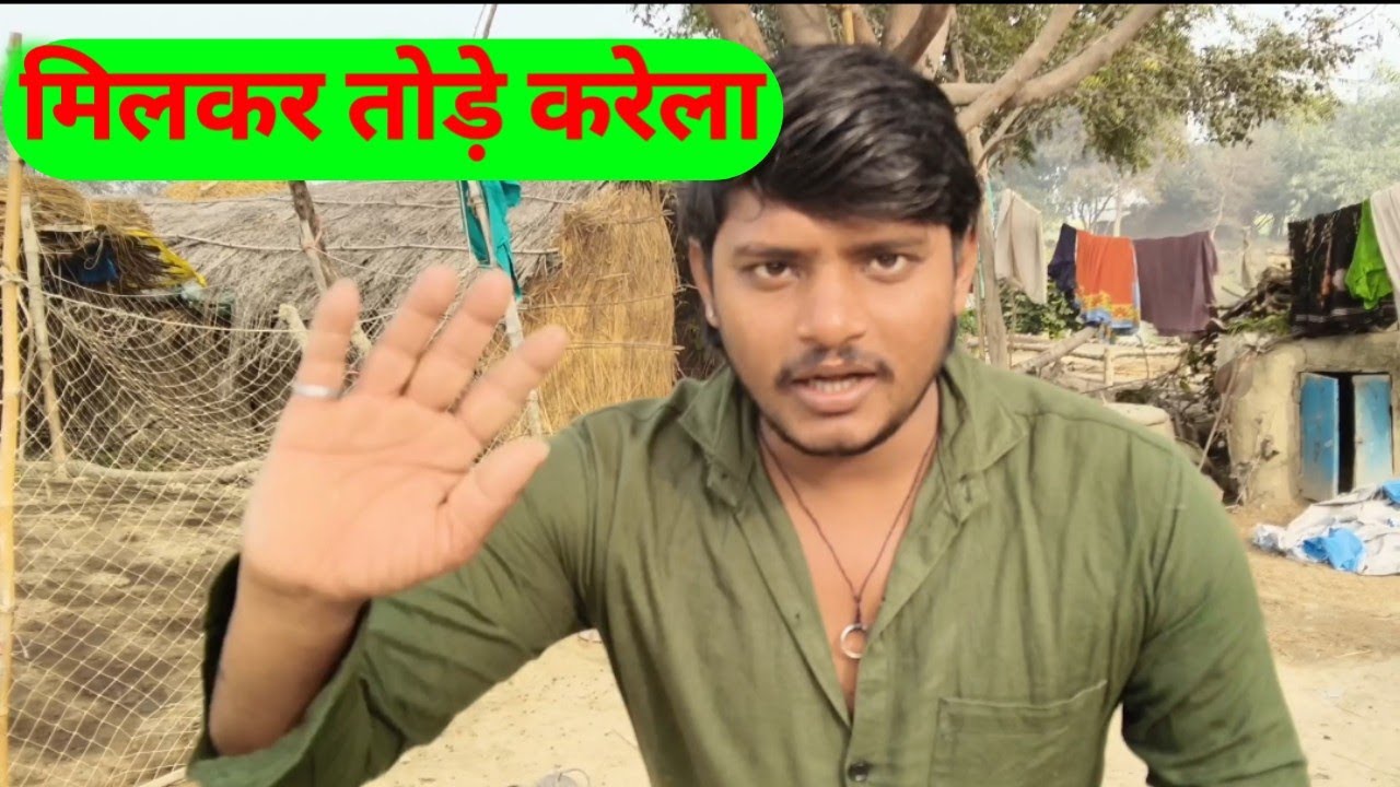 मिलकर तोड़े करेला milkar tode karela Bulli Ojha Full vlogs Hindi Vlog Daily vlogs Family vlog