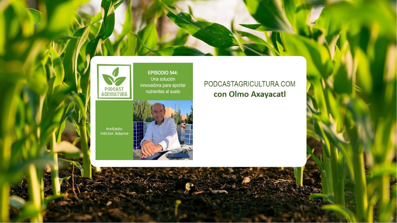 544 Una solución innovadora para aportar nutrientes al suelo con Héctor Adame