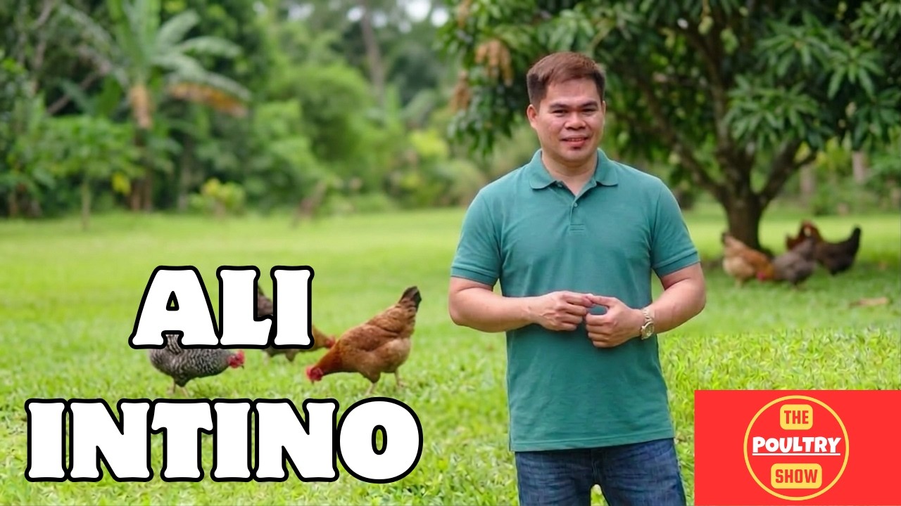 WGE 2026 | Ali Intino | Bert Seelin