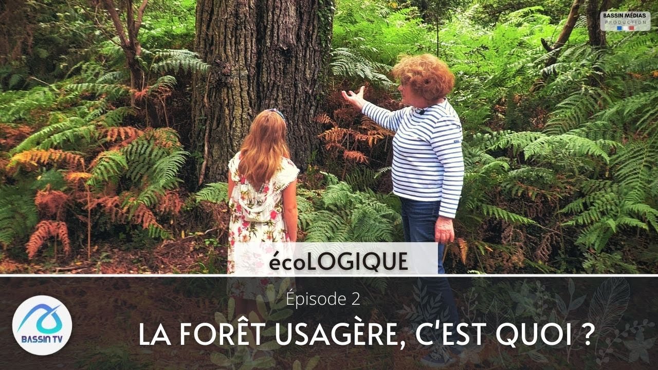 écoLOGIQUE ep#2 La forêt usagère, c'est quoi ?