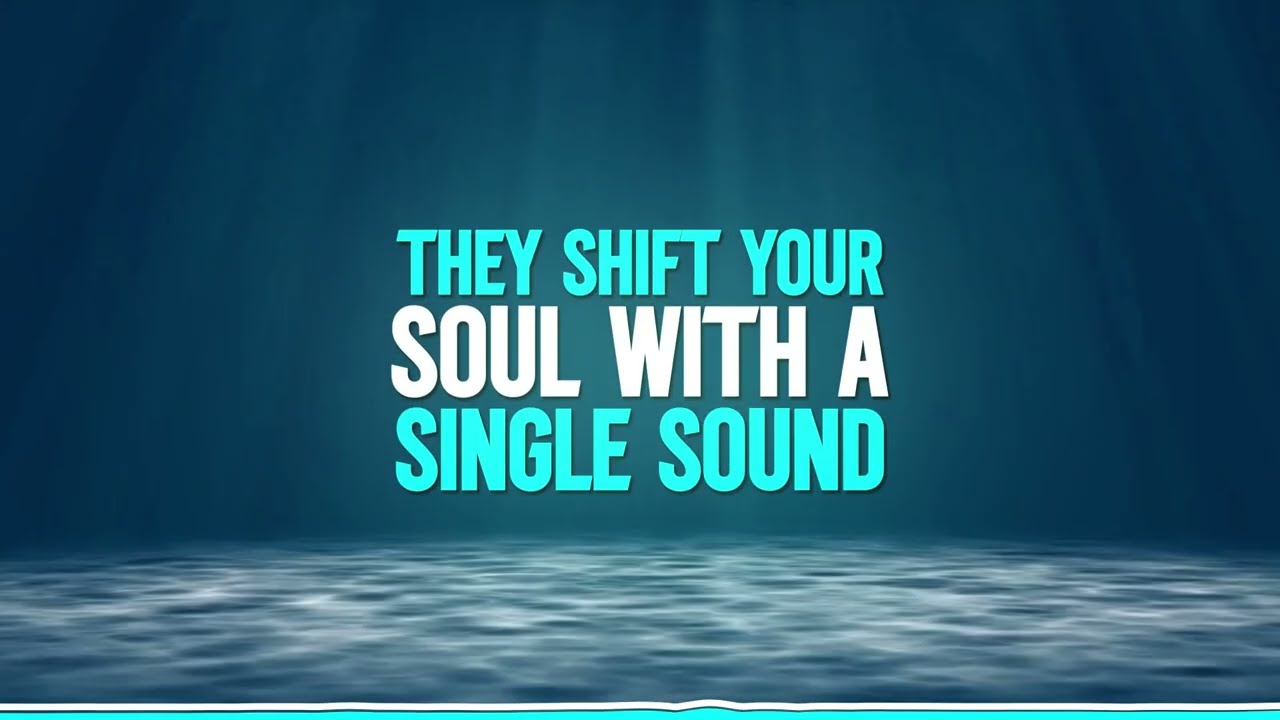 🎶 Sky Dive Once | Sacred Thresholds & Living With Clarity