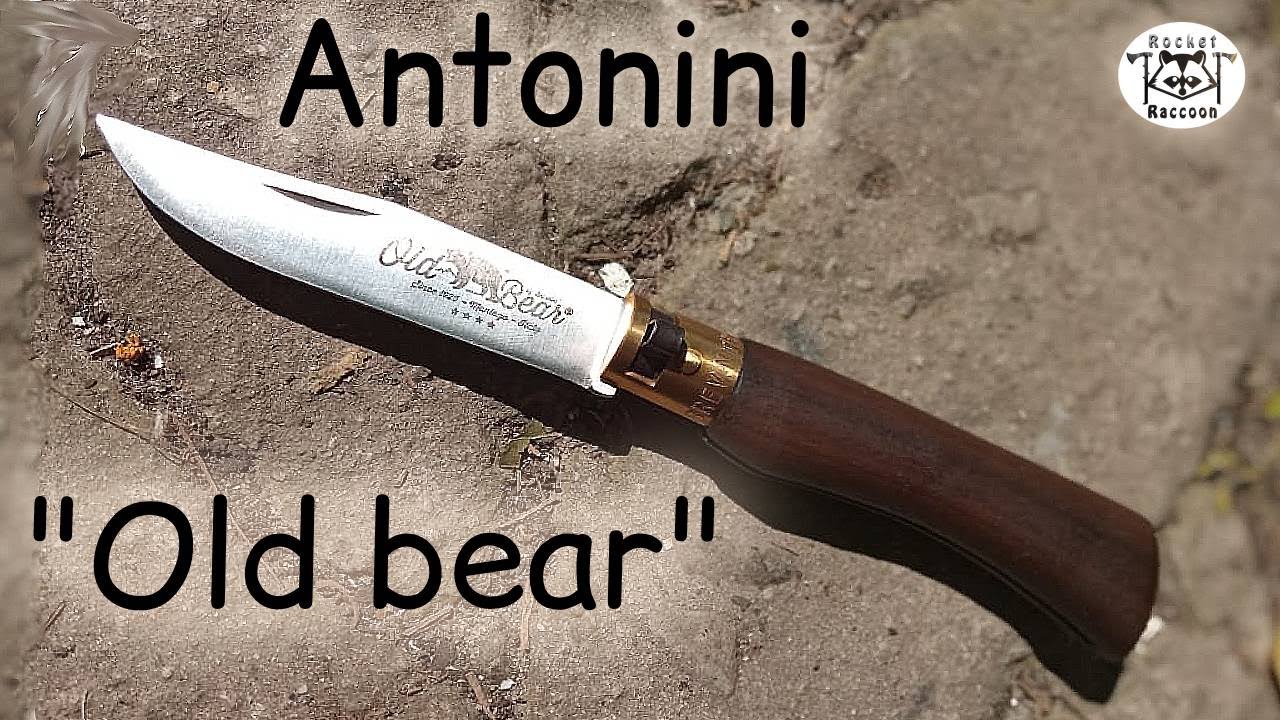 Недооцененный нож Old Bear от Antonini
