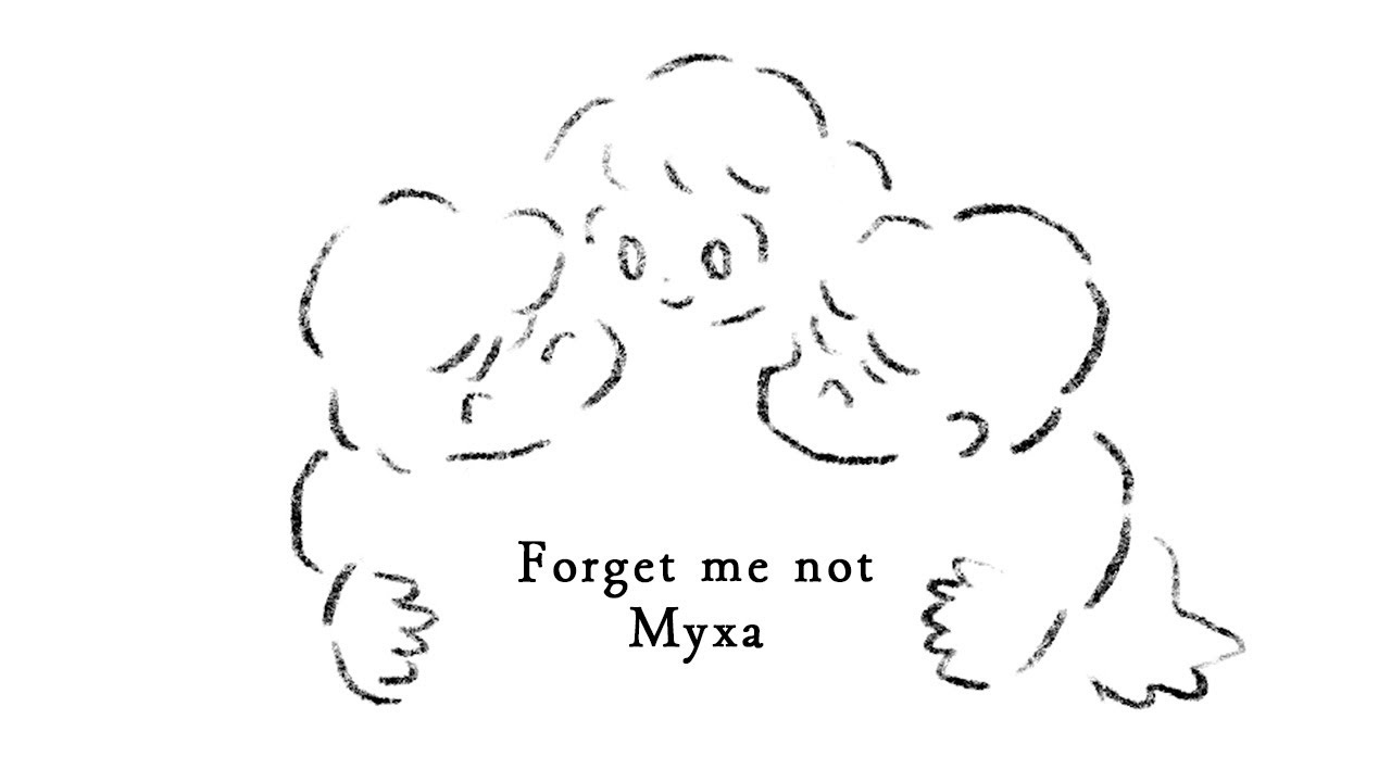 Forget me not / Myxa