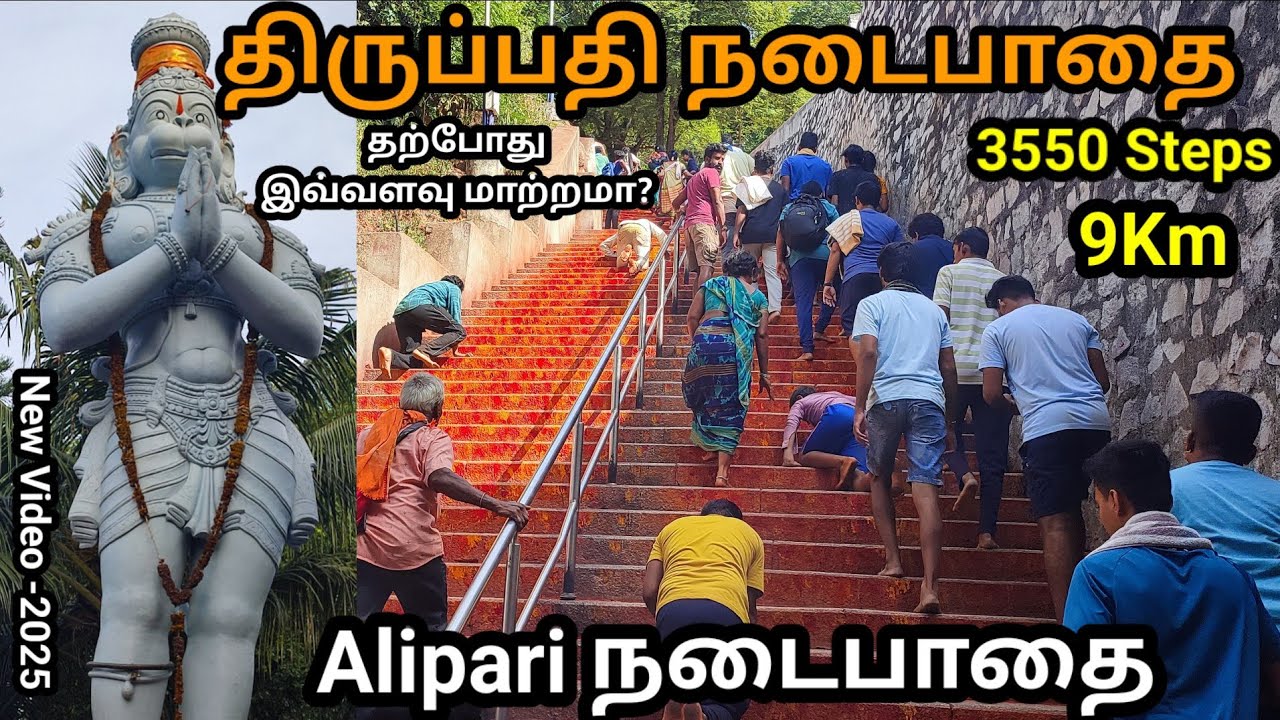 Tirupati Alipiri footpath 2025 | Alipiri mettu | Tirupati footpath tamil| திருப்பதி அலிப்பரி நடைபாதை