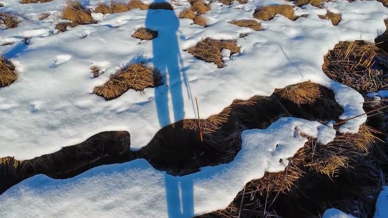 BUZ GİBİ HAVA'DA &Ouml;RDEK AVI (KAMERA BOZULDU) LİMİTLERİ DOLDURDUK. Duck Hunting.