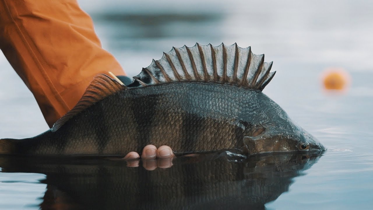 Šiandien kimba 190414 Ešerių ešeriai 2 ir laivybos sezono atidarymas