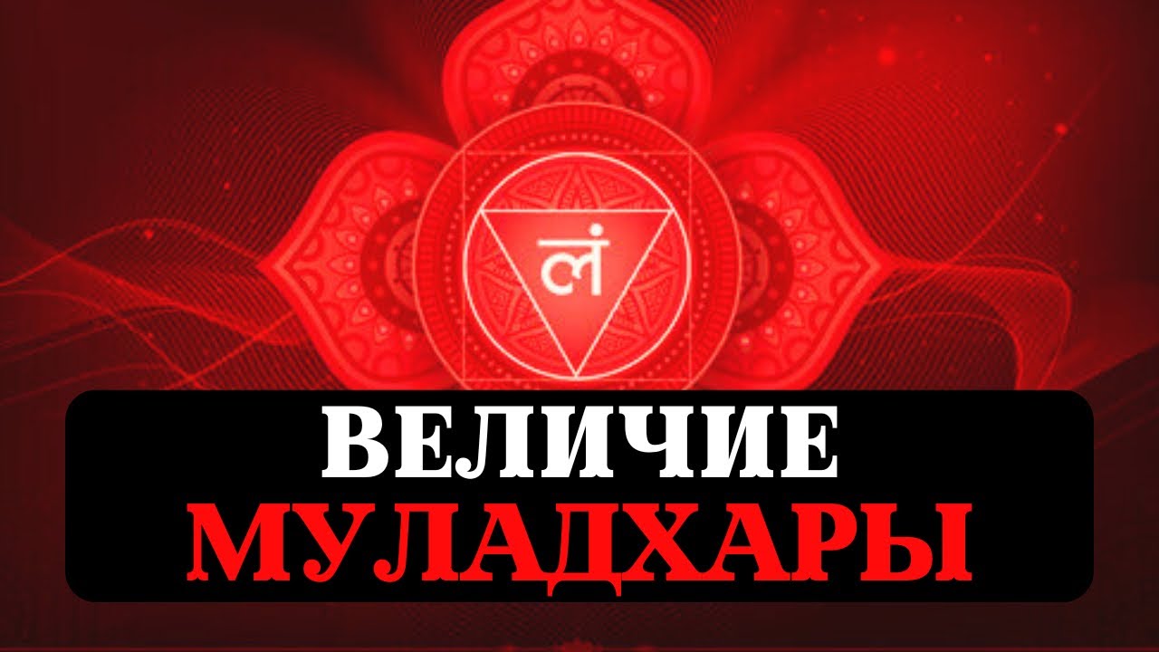 ТАЙНА 1 ЧАКРЫ, МУЛАДХАРА, АНАТОМИЯ, БЛОКИ, РАЗНИЦА В РАБОТЕ У МУЖЧИН И ЖЕНЩИН, ОЧИЩЕНИЕ, ПСИХОЛОГИЯ